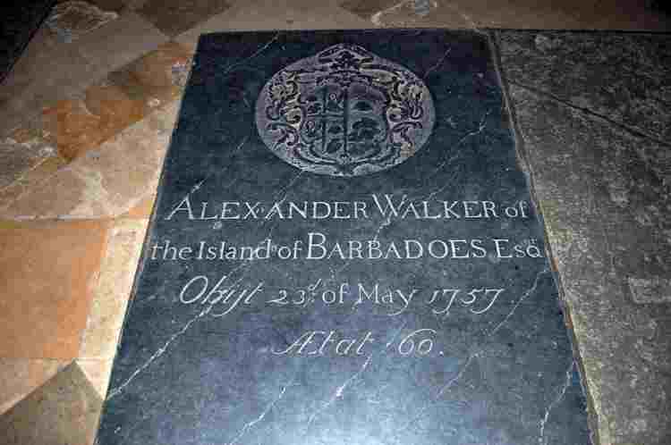 Alexander Walker