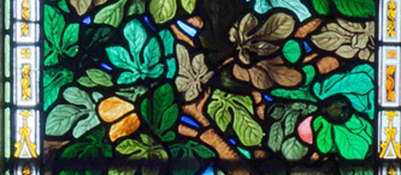 Westminster Abbey to hold Memorial Woodland service