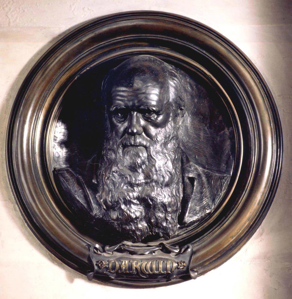 Bronze life-sized relief bust of Charles Darwin with inscription 'DARWIN'