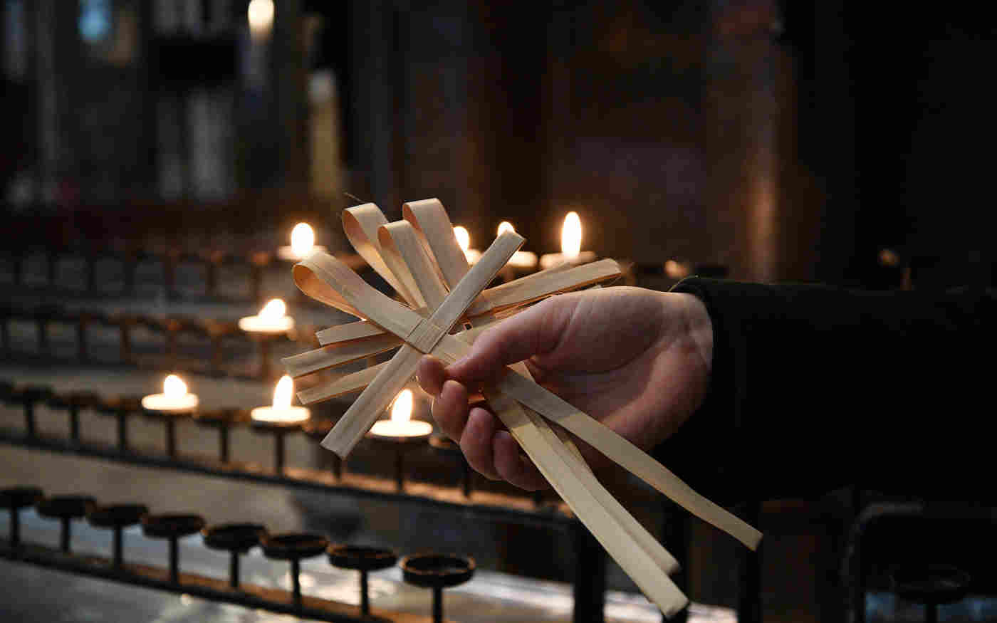 A Palm Sunday Devotion