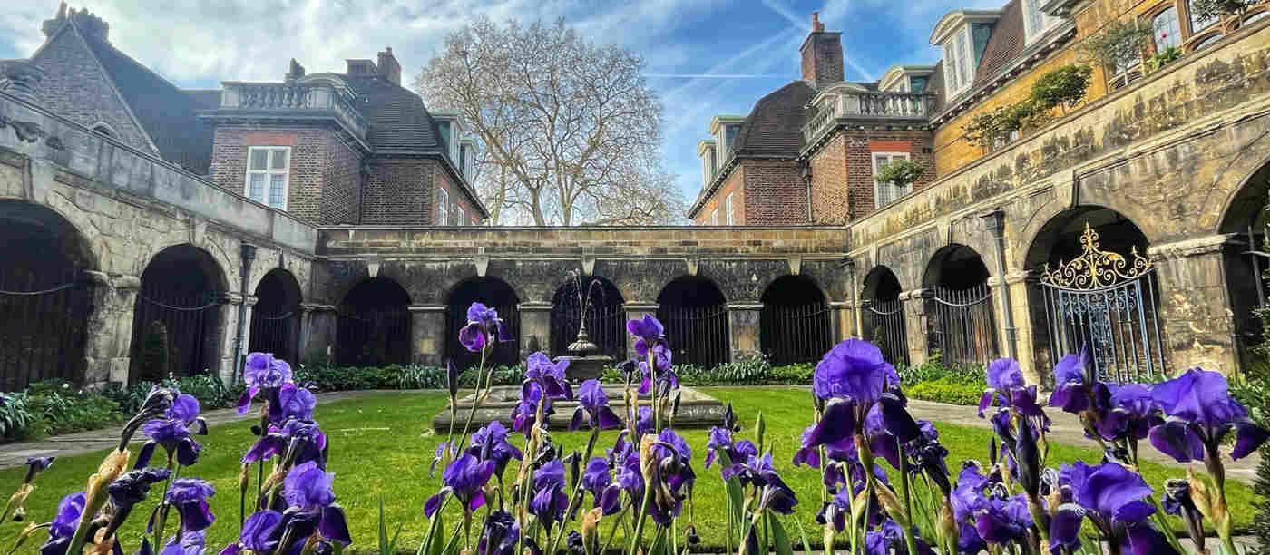 Photograph of purple irises in Little Cloister, a gated garden containing a fountain within Westminster Abbey
