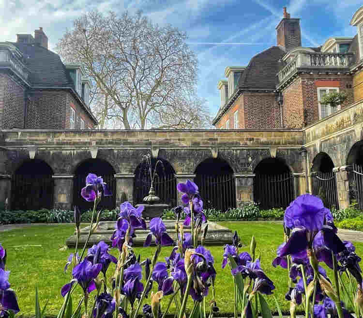 Photograph of purple irises in Little Cloister, a gated garden containing a fountain within Westminster Abbey