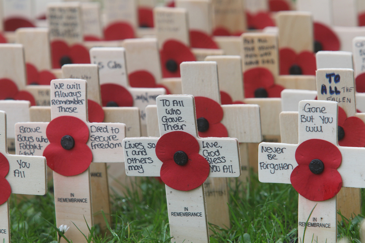 The field is a sea of remembrance crosses with scarlet poppies - a symbol of remembrance and a tribute to the memory of ex-Service men and women