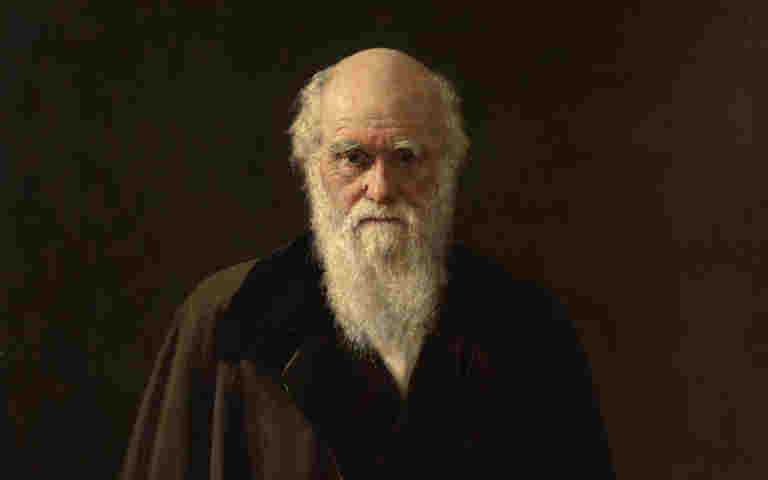 Portrait of Darwin - Copyright of the Linnean Society of London