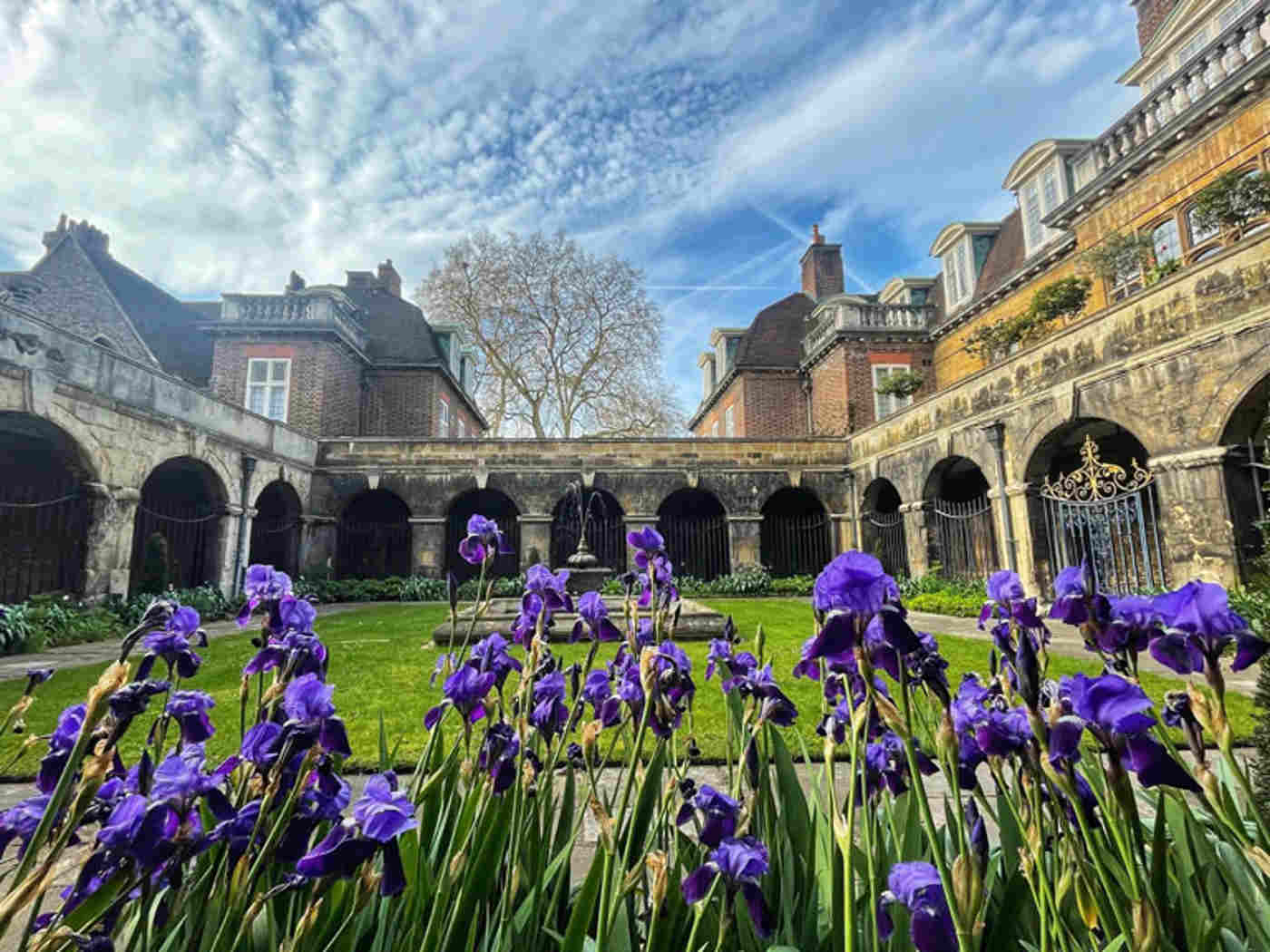 Little Cloister Irises (1)
