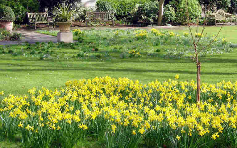 Photograph of the College Garden within the walls of the Abbey precincts, representing the Act Natural theme