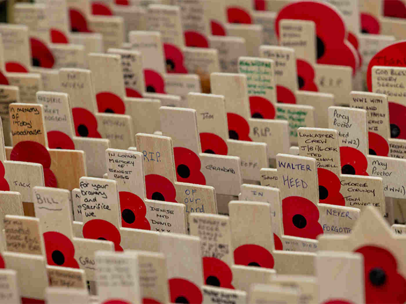 More than 35,000 tributes were planted in the Field of Remembrance