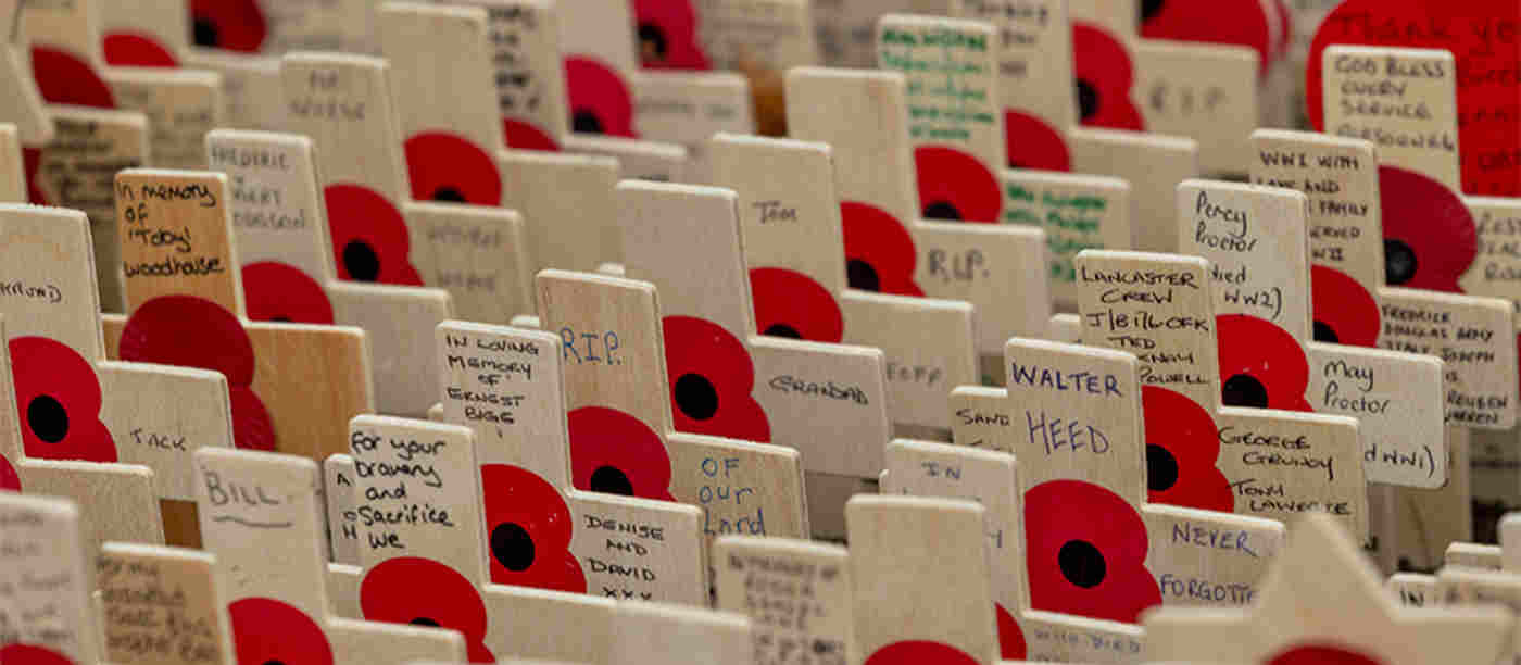 More than 35,000 tributes were planted in the Field of Remembrance