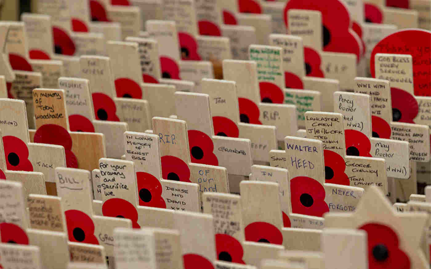 More than 35,000 tributes were planted in the Field of Remembrance