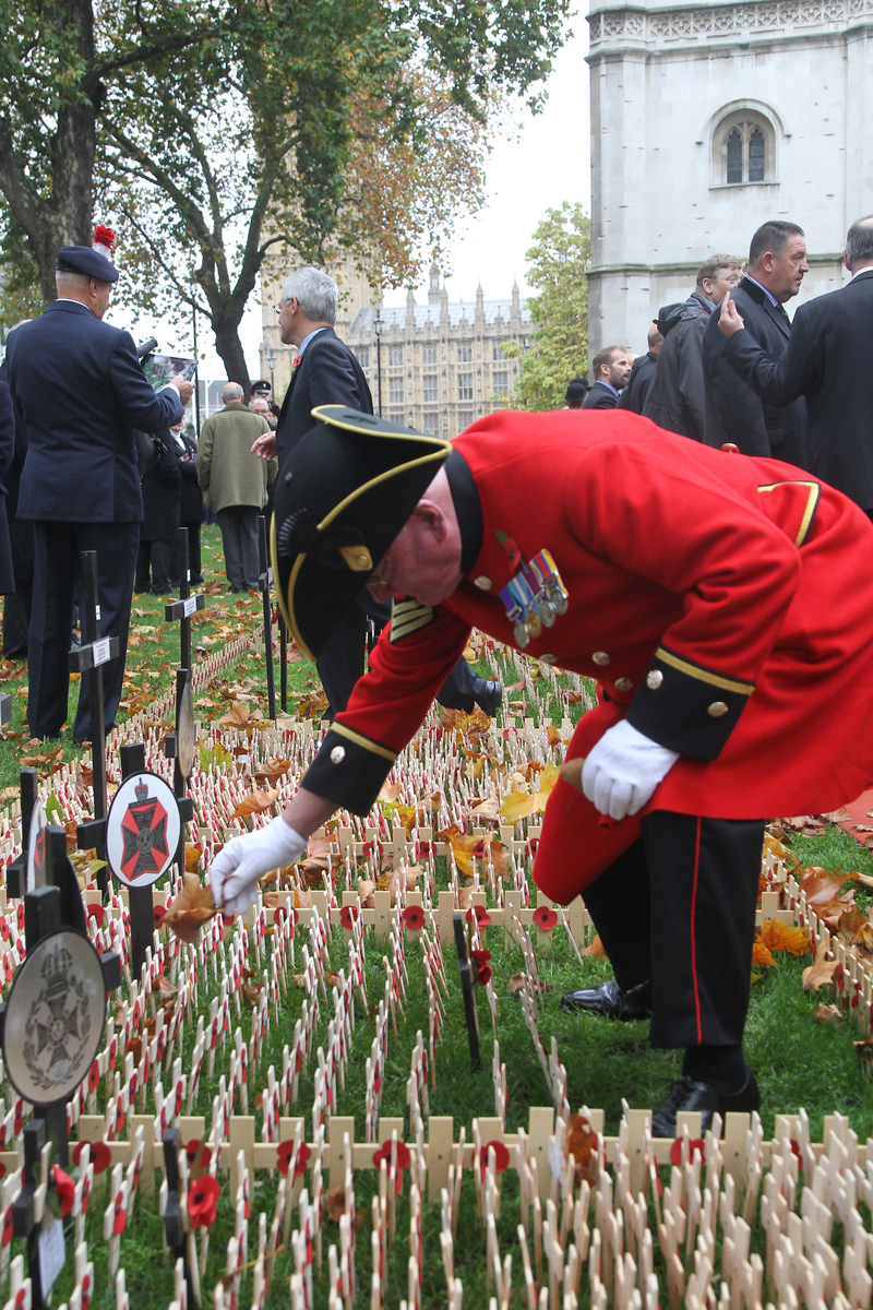 Each November the Royal British Legion establishes a Field of Remembrance in the grounds of Westminster Abbey