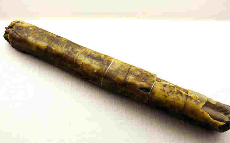 Remains of a wax taper or large candle
