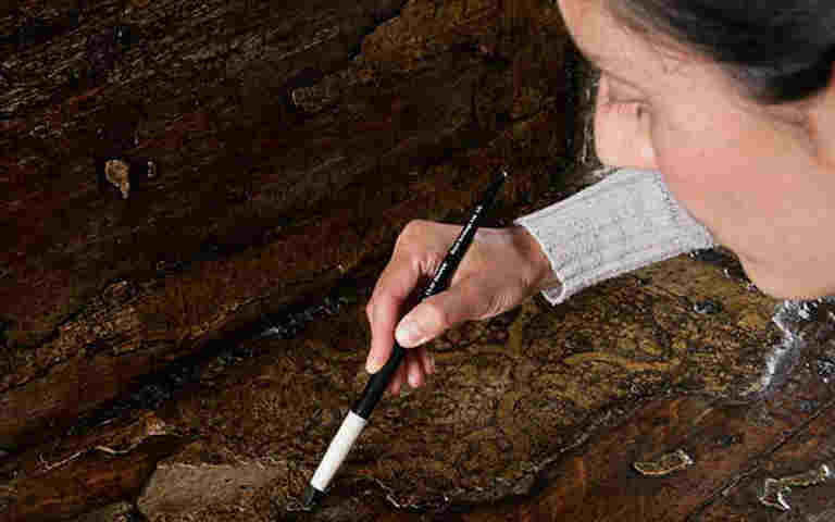 Photograph of a female member of the conservation team using a brush on a wooden object