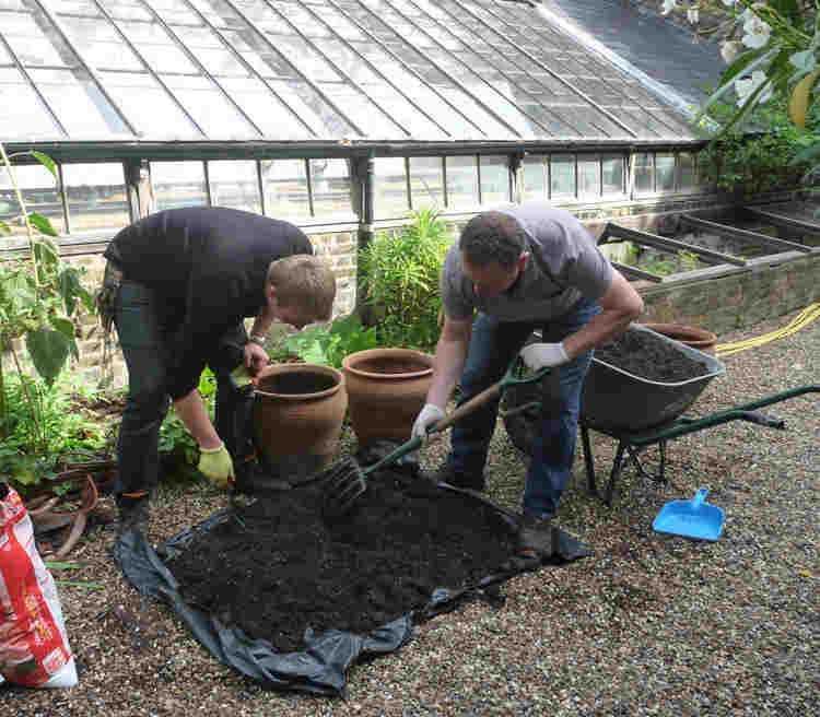 Photograph of two gardeners working with compost in front of the greenhouse in College Garden