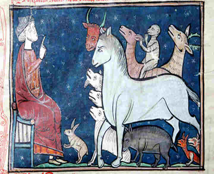 Manuscript illustration showing a collection of animals