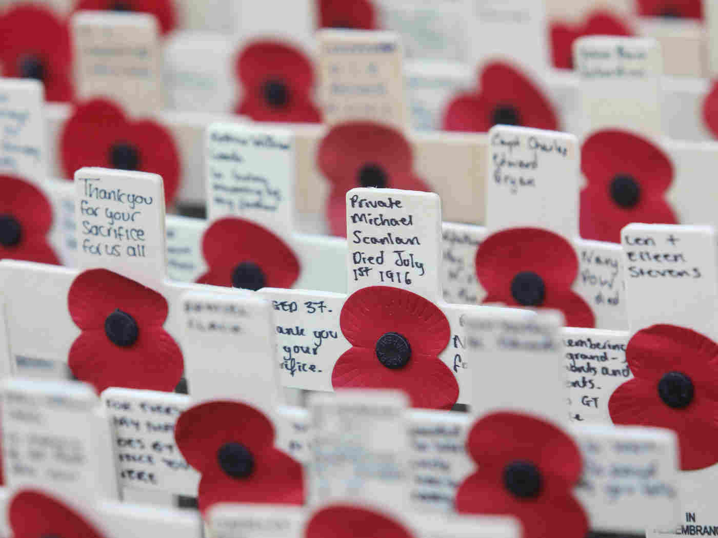 Some of the 60,000 remembrance tributes