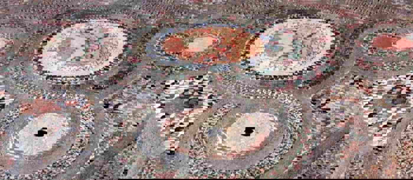 A podcast for the Feast of Christ the King