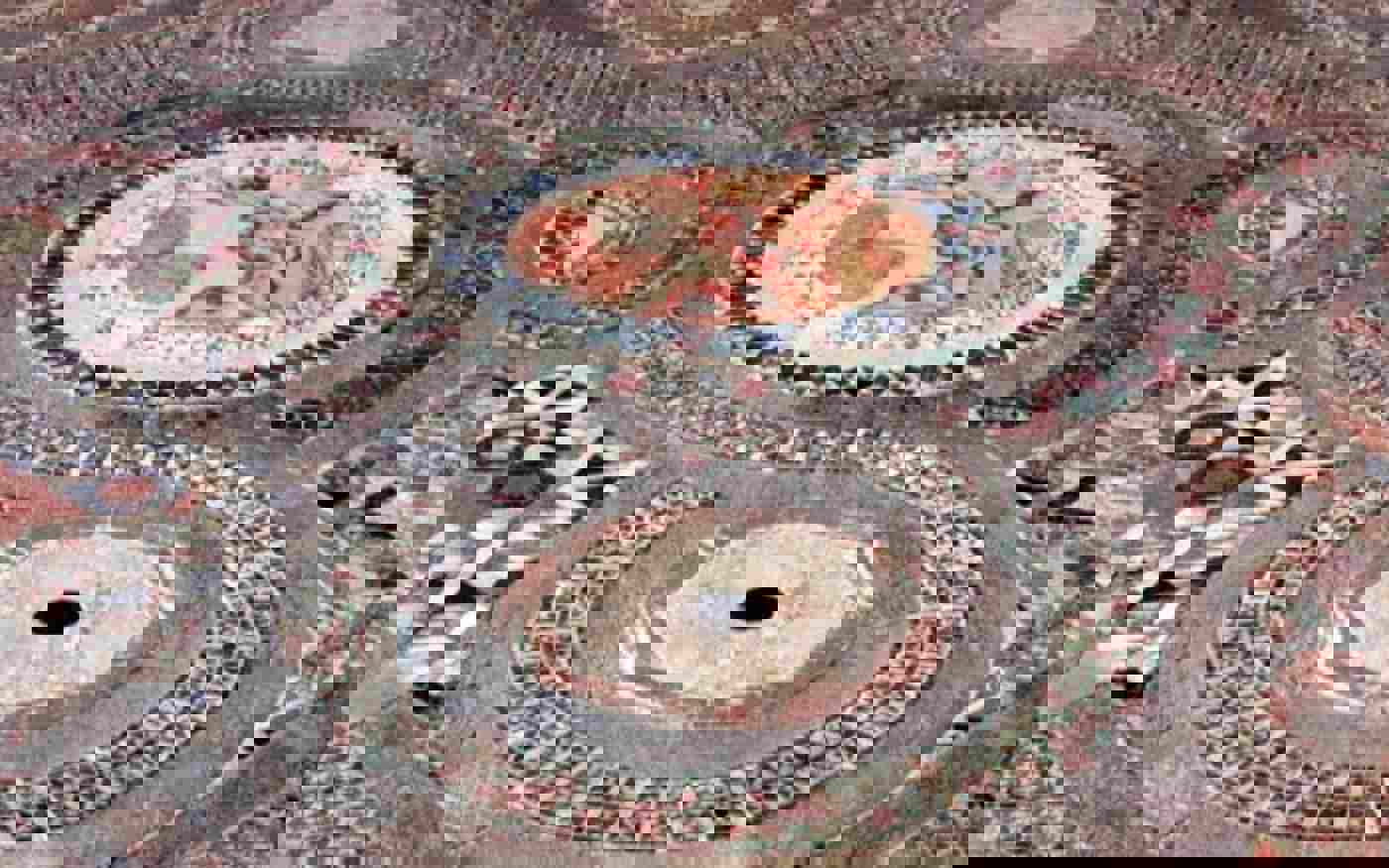 A podcast for the Feast of Christ the King