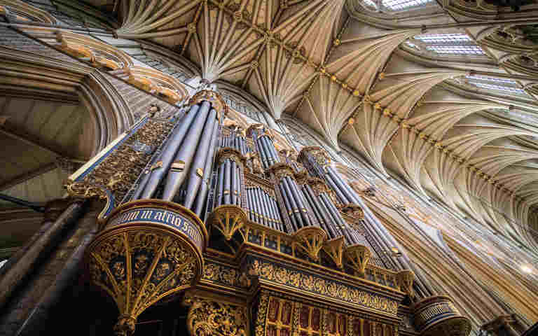 Explore more services and events