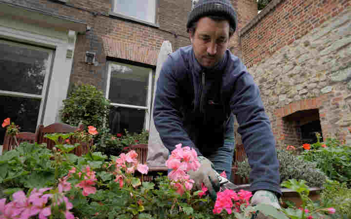 Photograph of male gardener weeding plants within the gardens at Westminster Abbey
