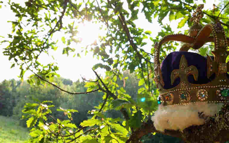 Photograph of crown amongst trees representing the Royal Oak Story by Westminster Abbey