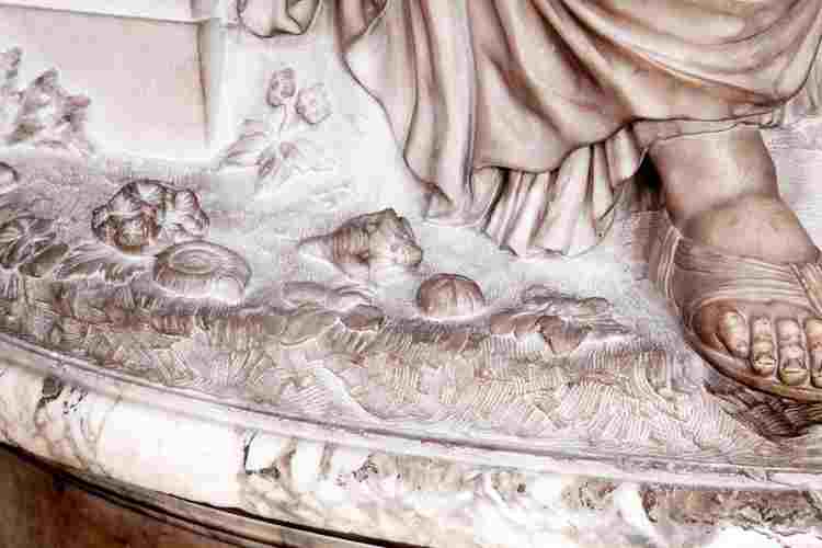 Fossils shown on Woodward monument