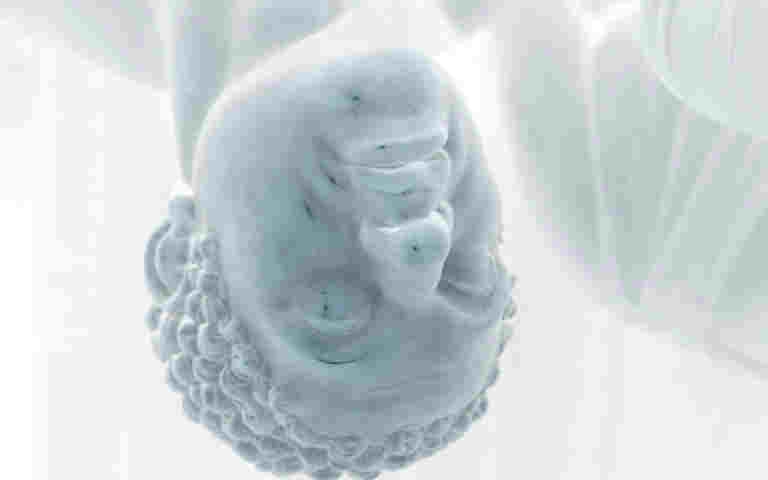 Photograph of a black statue in the Abbey, upside down, representing the case study Uncovering Hidden Histories