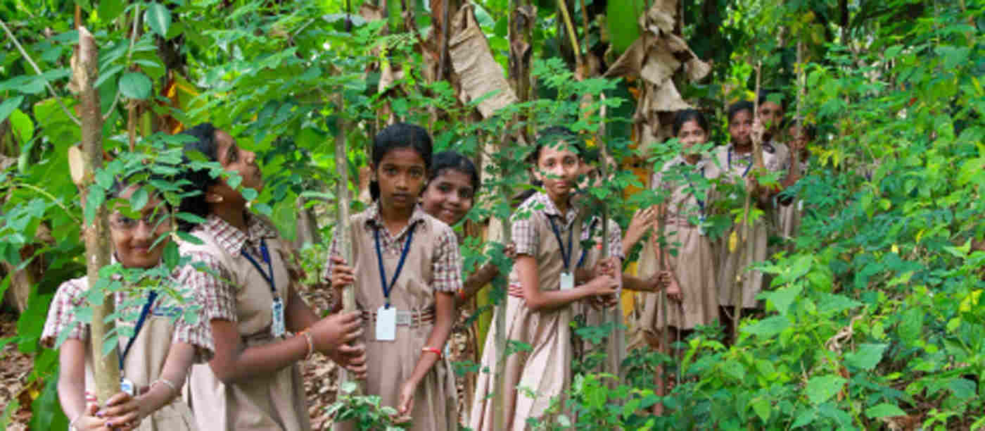 Photograph of young children within a rainforest. Photo credit: CSI Madhya Kerala Diocese