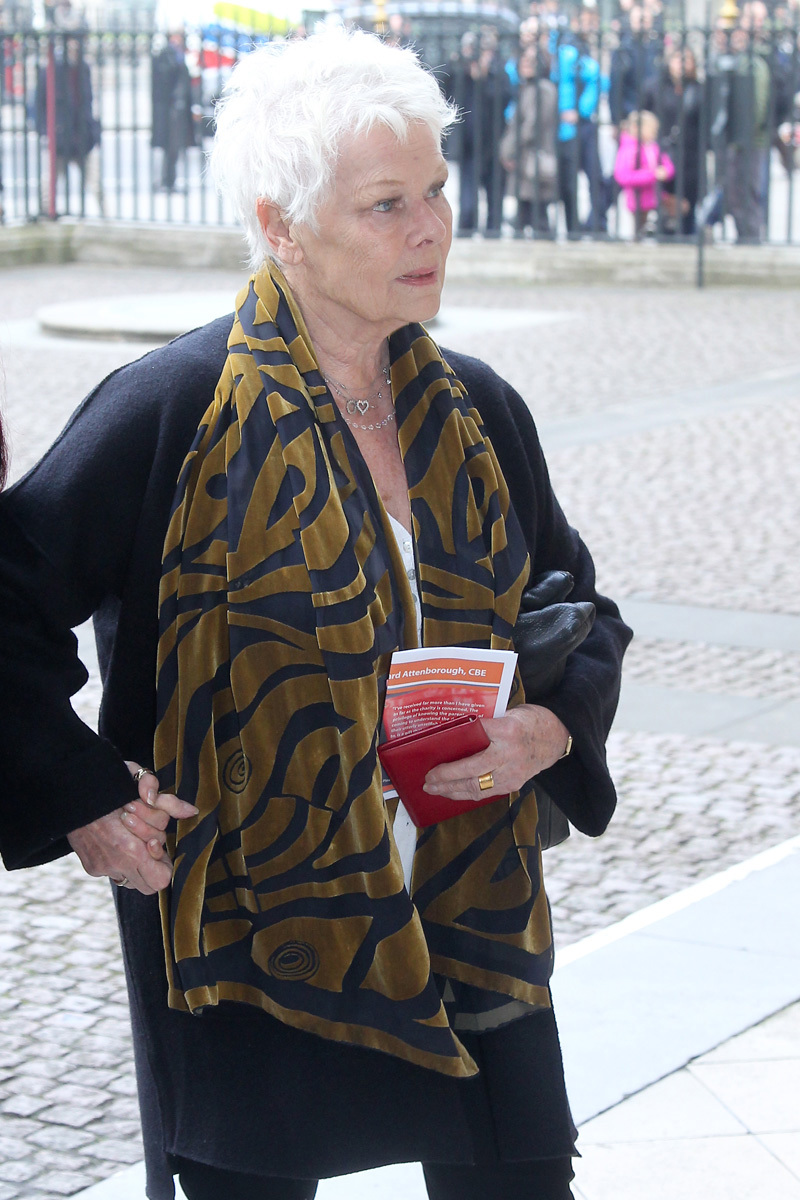 Dame Judi Dench