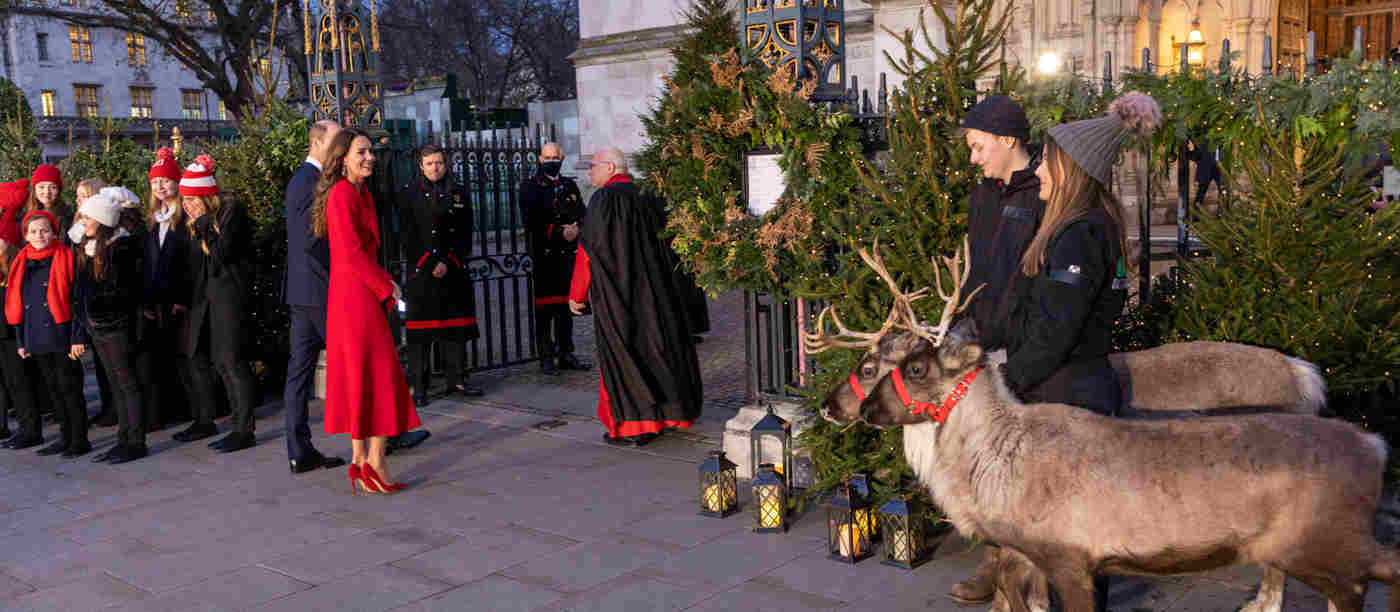 The Duke and Duchess of Cambridge outside the Abbey with reindeer and Christmas trees