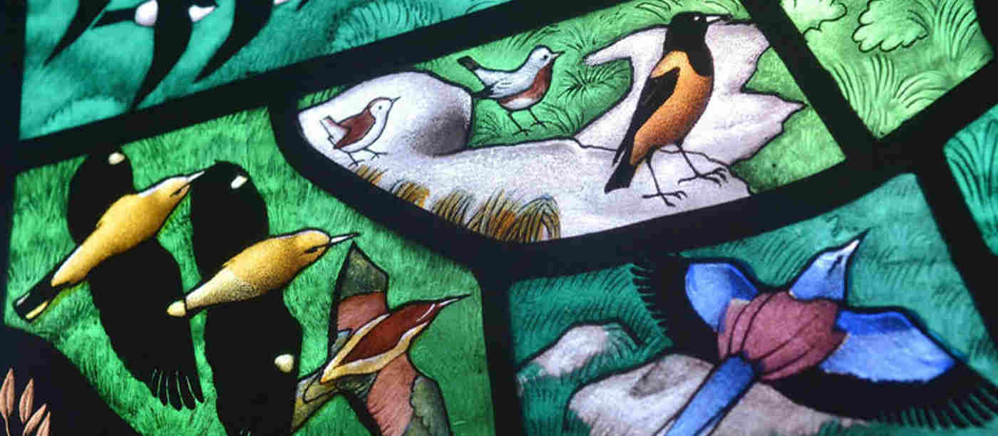 Photograph of different coloured birds within a stained-glass window representing animals within Westminster Abbey