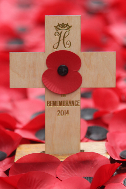 Prince Harry Opens 86th Field of Remembrance