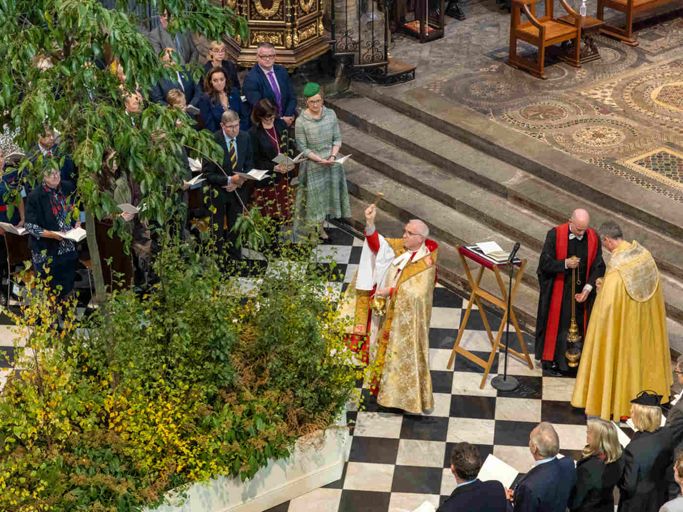 WA Trees Covid19 041