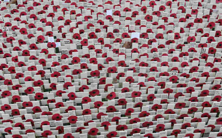 Photograph of lots of poppies and crosses within the Field of Remembrance at Westminster Abbey