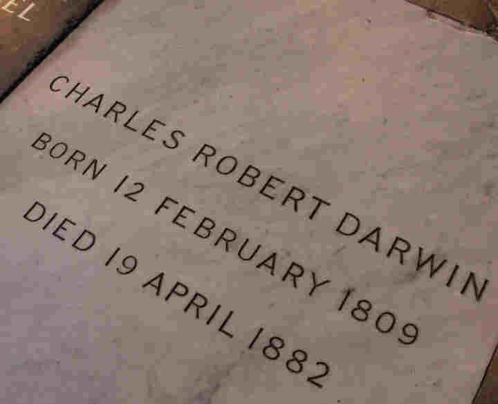 Photograph looking down at the grave of Charles Darwin with the inscription Charles Robert Darwin, born 12 February 1809, died 19 April 1882