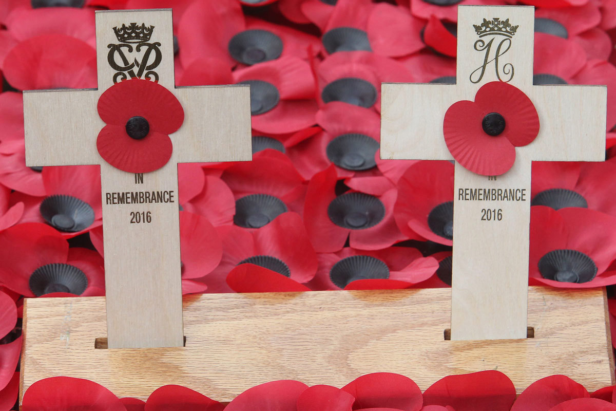 Princes Philip and Harry Open Field of Remembrance