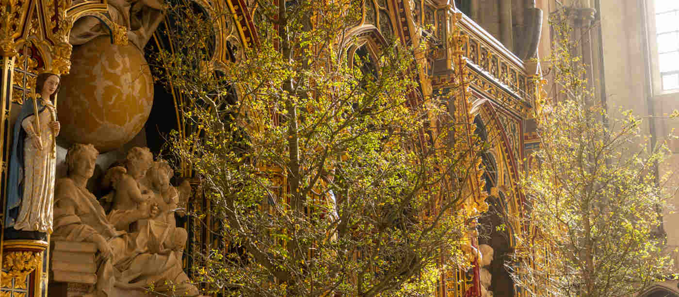 Trees of life service takes place at the Abbey