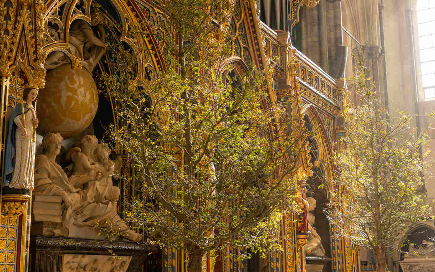 Trees of life service takes place at the Abbey